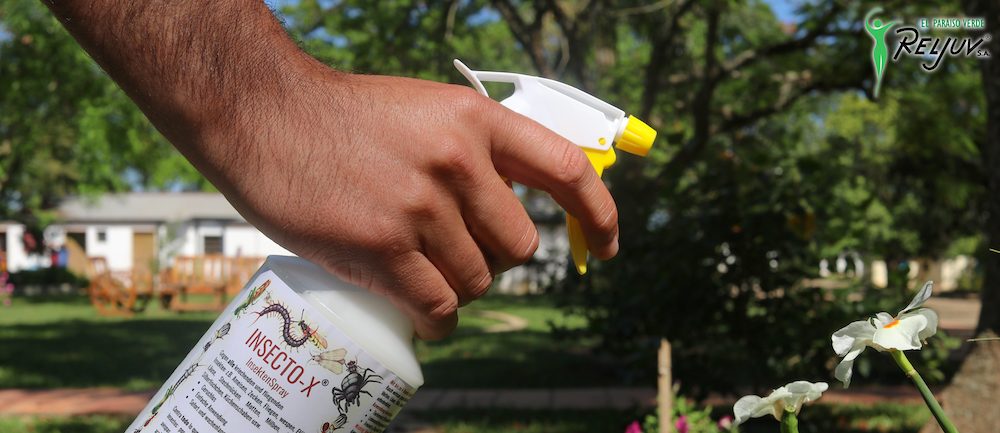 Insect-XX – Insektenmittel